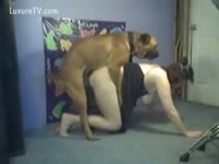 Pet Video - Bitch lifts her costume for a doggy fuck